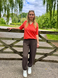 Short Sleeve Collared Fine Knit