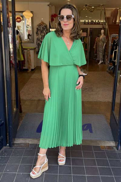 Mariella Pleated Chiffon Dress