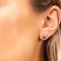 Highland Cow Stud Earrings