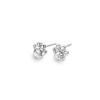 Paw Print Stud Earrings